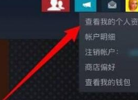 steam私密状态怎么关 Steam私密状态关闭教程