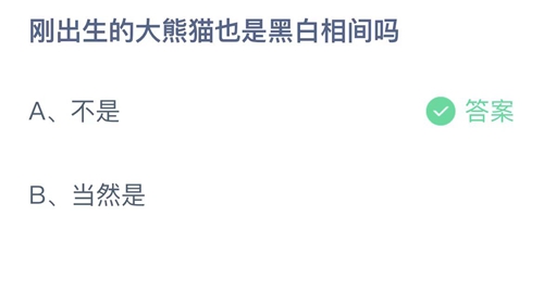 支付宝蚂蚁庄园6月16日答案2022-刚出生的大熊猫也是黑白相间吗？6月16日答案一览