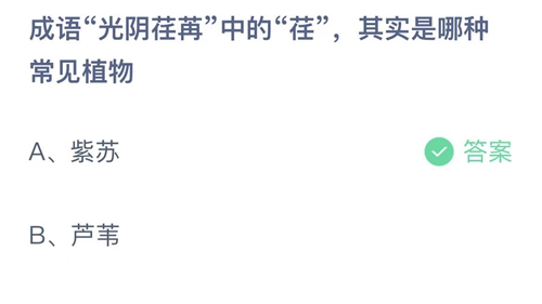 支付宝蚂蚁庄园7月25日答案2022-成语光阴荏苒中的荏，其实是哪种常见植物？7月25日答案一览