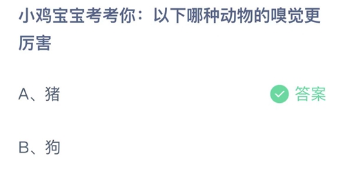 2022支付宝蚂蚁庄园11月8日答案更新-以下哪种动物的嗅觉更厉害？11月8日答案