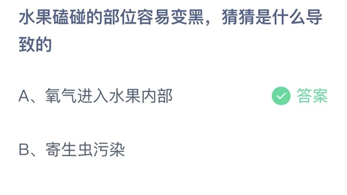 支付宝蚂蚁庄园1月2日答案2023-水果磕碰的部位容易变黑，猜猜是什么导致的？1月2日答案