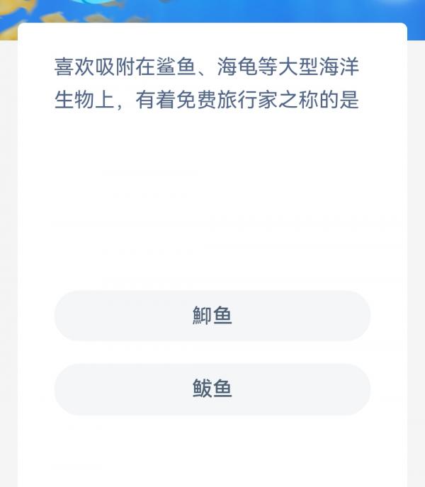 《支付宝》2023神奇海洋科普问答答案3.3