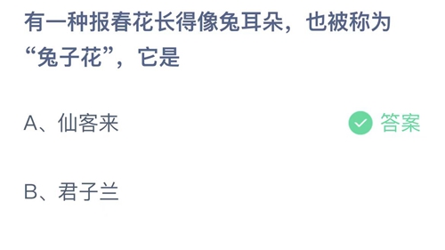 支付宝蚂蚁庄园3月18日答案2023-有一种报春花长得像兔耳朵也被称为兔子花它是？3月18日答案