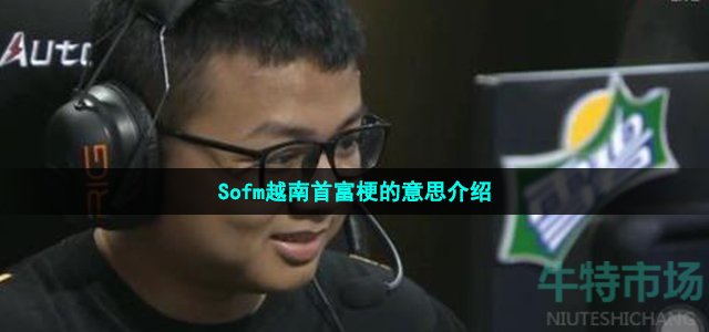 sofm越南首富什么梗 Sofm越南首富梗的意思介绍