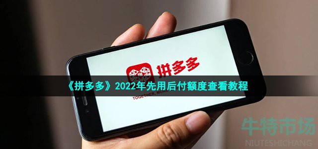 拼多多先用后付额度在哪里看 2022年先用后付额度查看教程