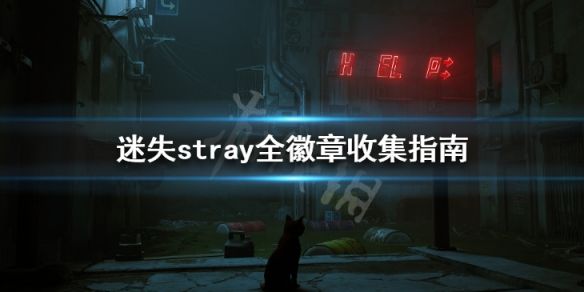 迷失全徽章收集指南 stray游戏徽章怎么获得