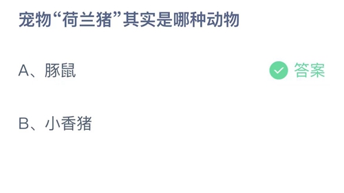 支付宝蚂蚁庄园5月7日答案2023-宠物荷兰猪其实是哪种动物？5月7日答案