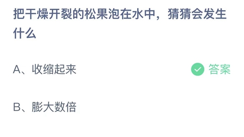 支付宝蚂蚁庄园6月3日答案2023-把干燥开裂的松果泡在水中，猜猜会发生什么？6月3日答案