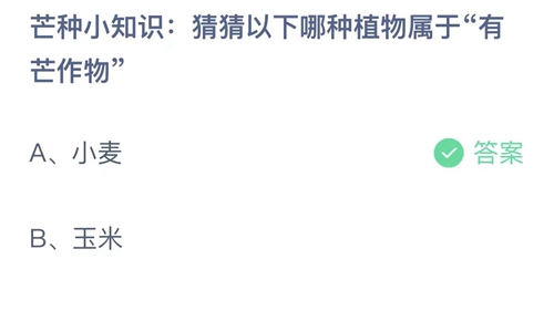 2023支付宝蚂蚁庄园6月6日答案更新-芒种小知识猜猜以下哪种植物属于有芒作物？6月6日答案