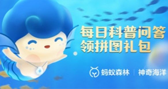 支付宝2023神奇海洋科普问答答案6.14-支付宝海豚可以用什么方式找到食物？