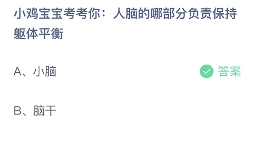 2023支付宝蚂蚁庄园8月3日答案更新-小鸡宝宝考考你人脑的哪部分负责保持躯体平衡？8月3日答案