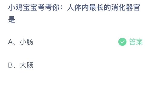 2023支付宝蚂蚁庄园8月18日答案更新-小鸡宝宝考考你人体内最长的消化器官是？8月18日答案