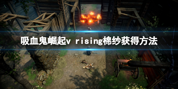 吸血鬼崛起棉纱怎么获得 v rising棉纱获得方法