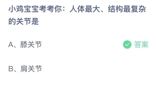 支付宝蚂蚁庄园9月2日答案2023-小鸡宝宝考考你人体最大、结构最复杂的关节是？9月2日答案