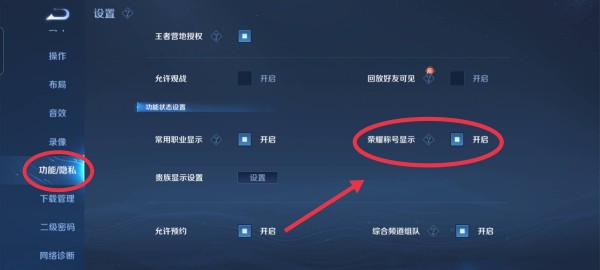 王者荣耀区标志为什么没有显示