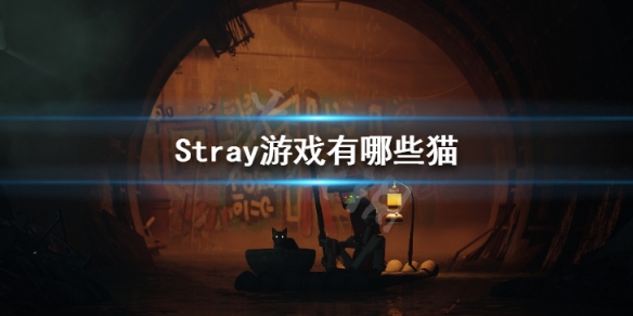 迷失Stray游戏有哪些猫 Stray游戏猫品种介绍