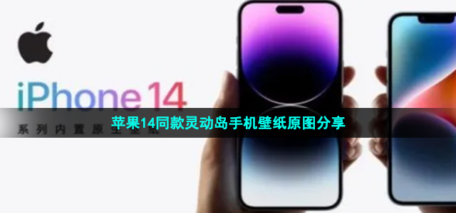 iphone14灵动岛壁纸怎么弄 苹果14同款灵动岛手机壁纸原图分享