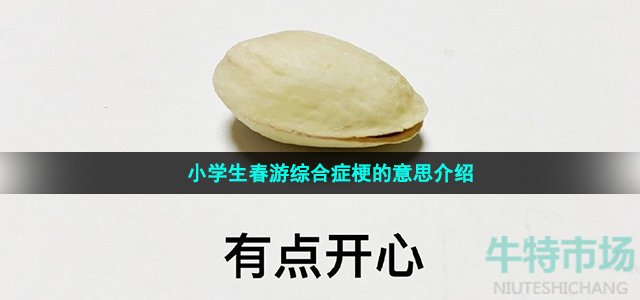 小学生春游综合症是什么梗 小学生春游综合症梗的意思介绍