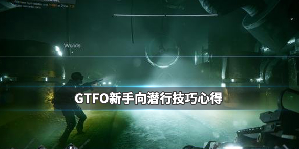 gtfo潜行技巧(新手向潜行技巧心得)「干货」