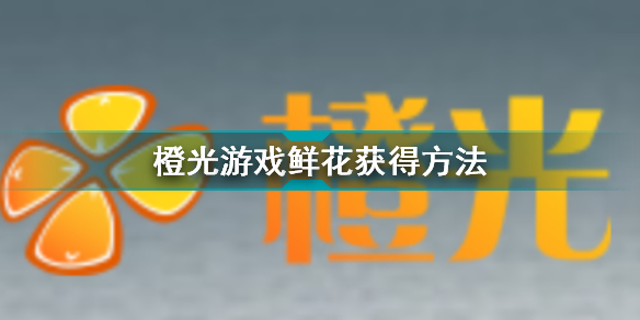 橙光游戏怎样获得鲜花(橙光游戏鲜花获得方法)「科普」