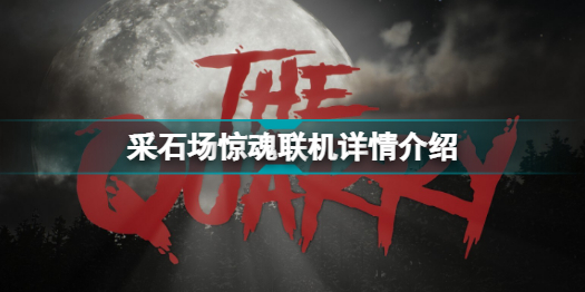 采石场惊魂联机需要都购买吗(采石场惊魂联机详情介绍)「详细介绍」