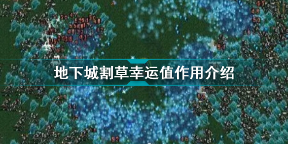 地下城割草幸运值有什么用(地下城割草幸运值作用介绍)「每日一条」