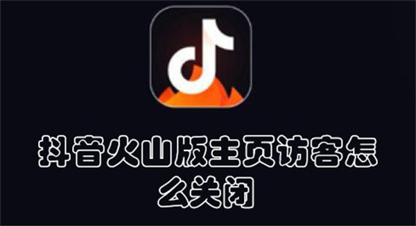 抖音火山版主页访客怎么关闭