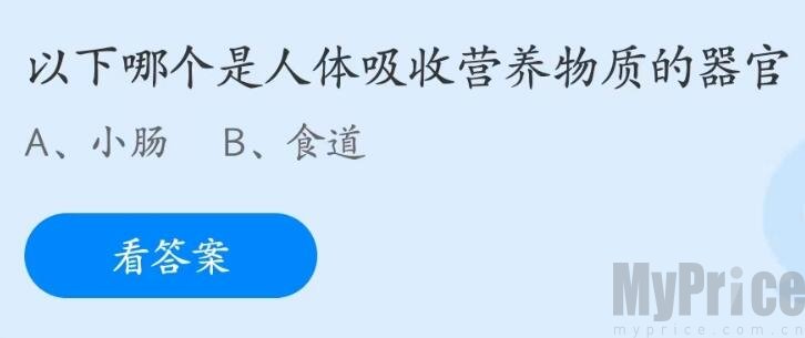 以下哪个是人体吸收营养物质的器官 2023支付宝蚂蚁庄园5月31日答案最新