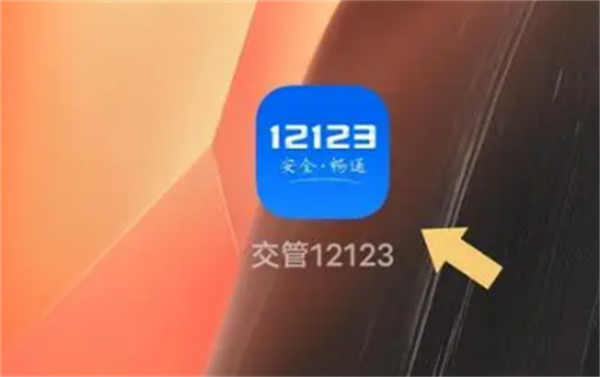 交管12123拍照功能在哪