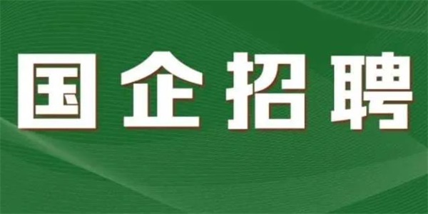 国资小新招聘官网入口