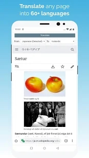 kiwi浏览器中文最新版截图4