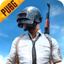 PUBG体验服手游