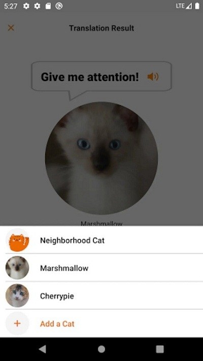 喵说meowtalk app截图2