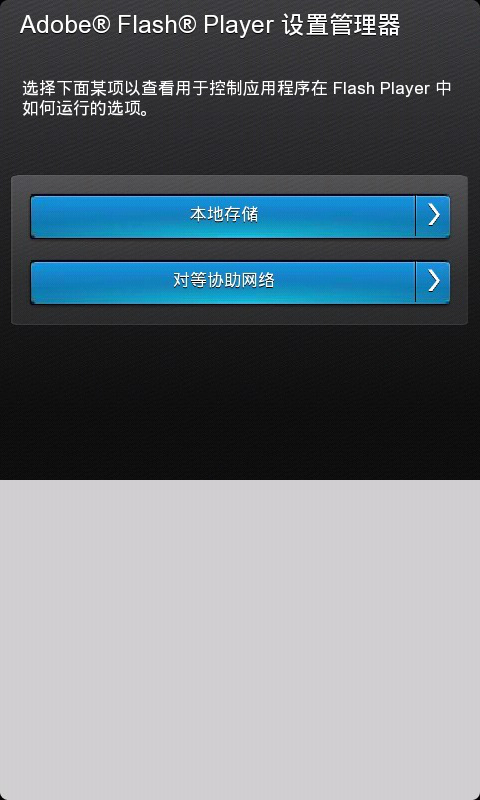 flash player 10截图3